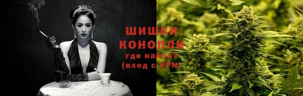 прущие крисы Белокуриха