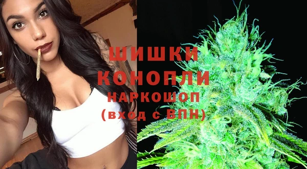 стафф Беломорск