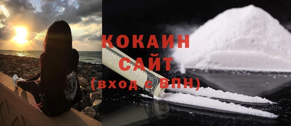 стаф Горняк