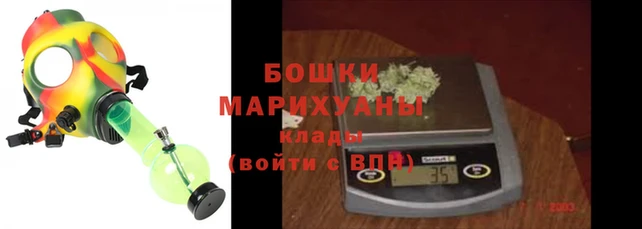 прущие крисы Белокуриха