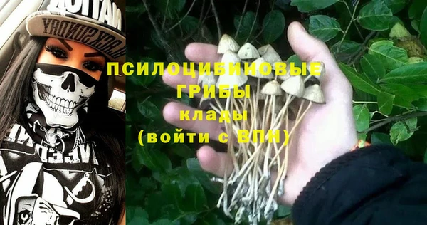 стафф Беломорск