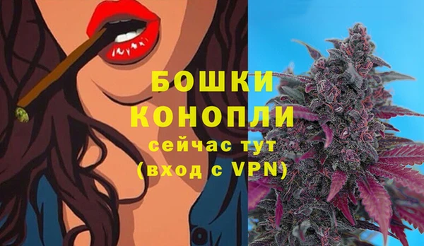 прущие крисы Белокуриха