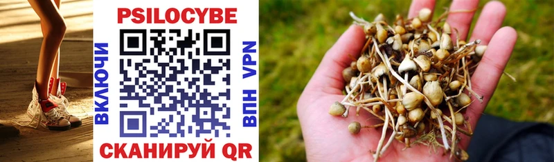 где продают наркотики  Мыски  Псилоцибиновые грибы Psilocybe 